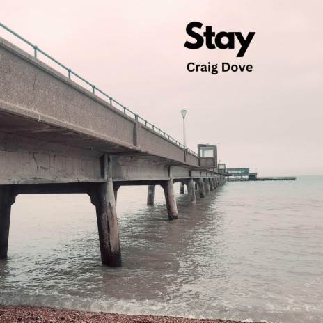 Stay | Boomplay Music