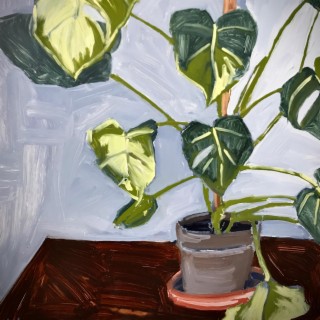 Houseplant