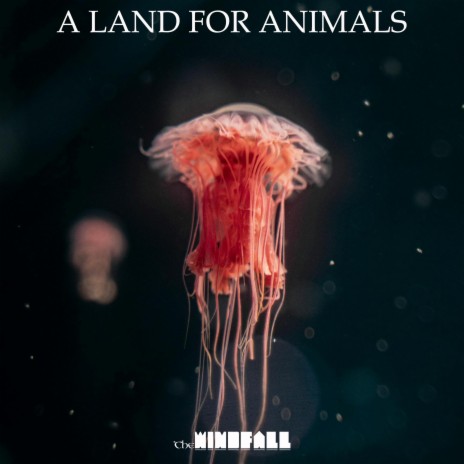 A Land for Animals | Boomplay Music