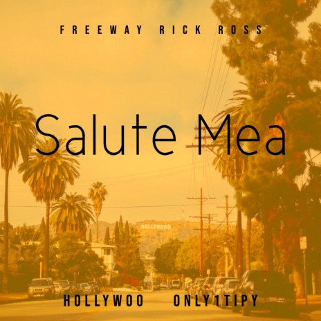 Salute Mea (feat. Hollywoo & Freeway Ricky Ross) | Boomplay Music