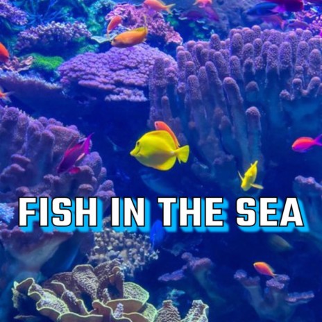 FISH IN THE SEA | Boomplay Music