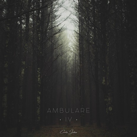 Ambulare IV | Boomplay Music