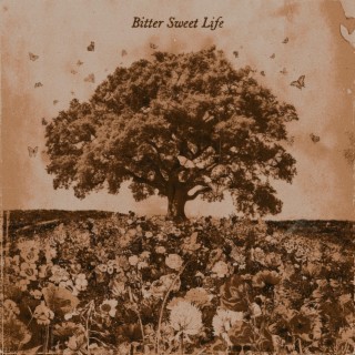 Bitter Sweet Life lyrics | Boomplay Music