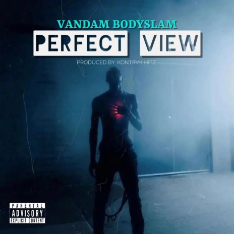 PERFECT VIEW (Radio Edit) ft. VANDAM BODYSLAM | Boomplay Music
