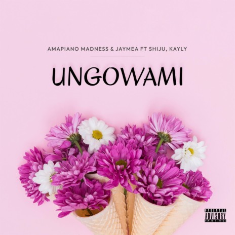 Ungowami ft. JayMea & Shiju | Boomplay Music