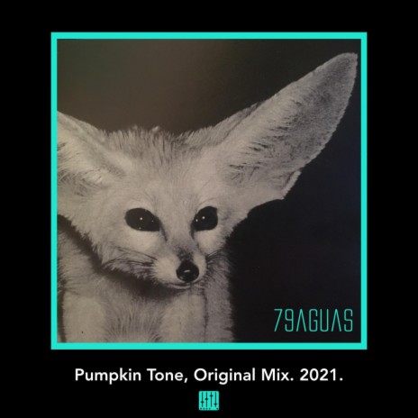 Pumpkin Tone, Original Mix. (Original Mix)
