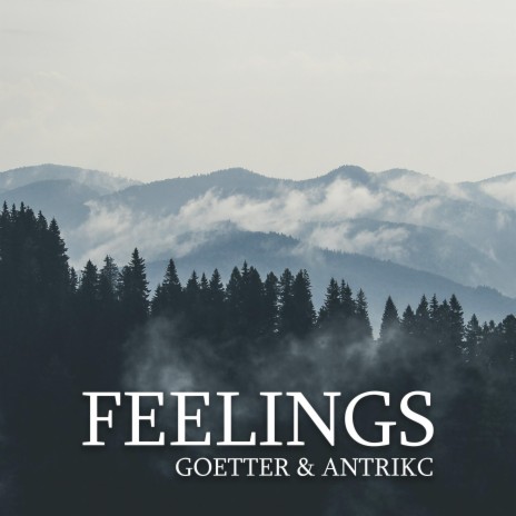 Feelings (feat. Antrikc) | Boomplay Music