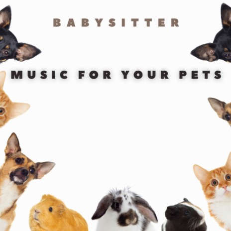Babysitter | Boomplay Music