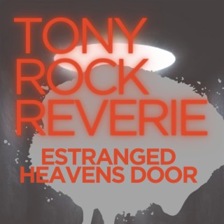 Estranged Heavens Door