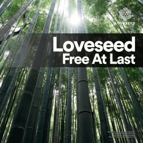 Free At Last | Boomplay Music