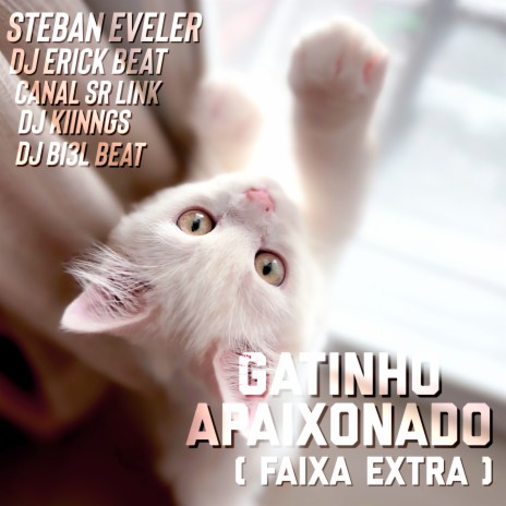 Gatinho Apaixonado Speed (Remix) ft. DJ BI3L BEAT & Steban Eveler Records | Boomplay Music
