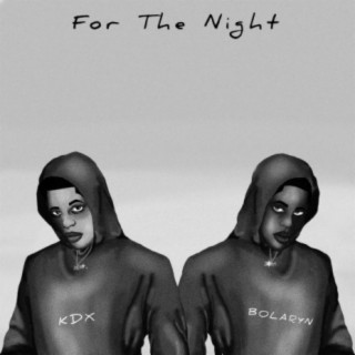 For The Night ft. Bolaryn lyrics | Boomplay Music