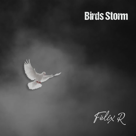 Birds Storm | Boomplay Music