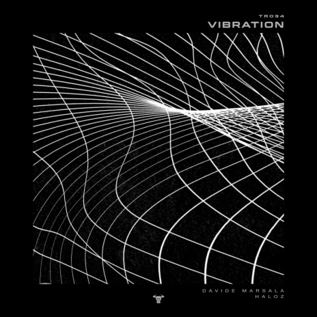 Vibration ft. HALOZ | Boomplay Music