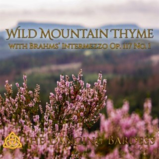 Wild Mountain Thyme