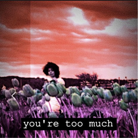 You're Too Much | Boomplay Music