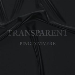 Transparent (feat. Vivere)