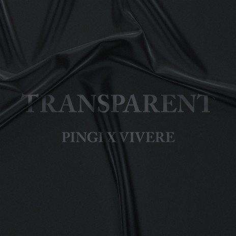 Transparent (feat. Vivere)
