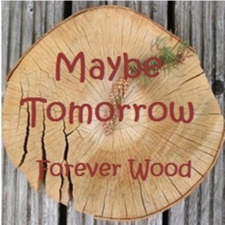 Forever Wood