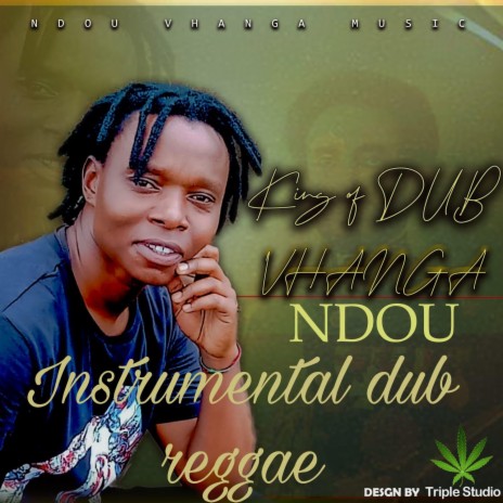 Instrumental dub reggae