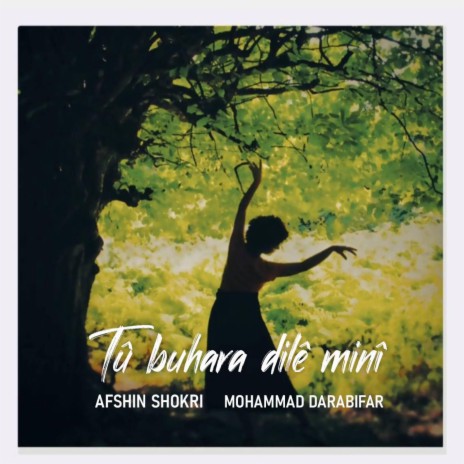 Tû Buhara Dilê Minî ft. mohammad darabifar | Boomplay Music