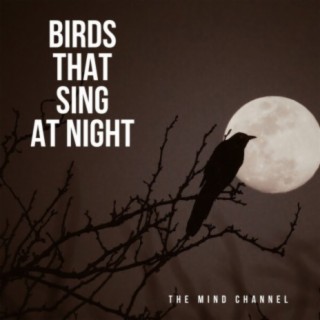 Birds That Sing at Night