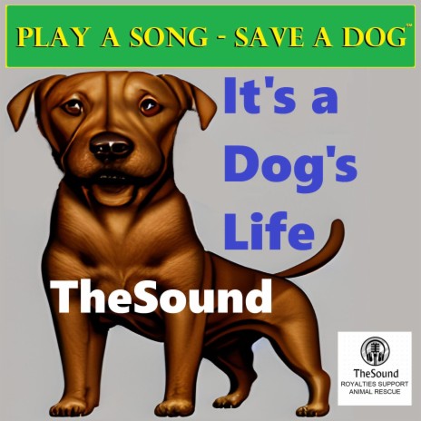 It's a Dog's Life | Boomplay Music