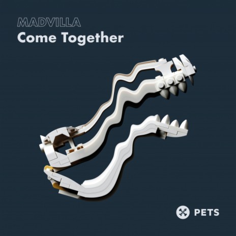 Come Together ft. Aanu | Boomplay Music