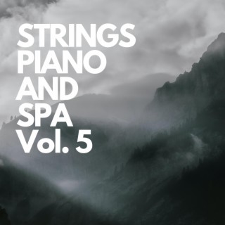 Strings Piano and Spa, Vol. 5