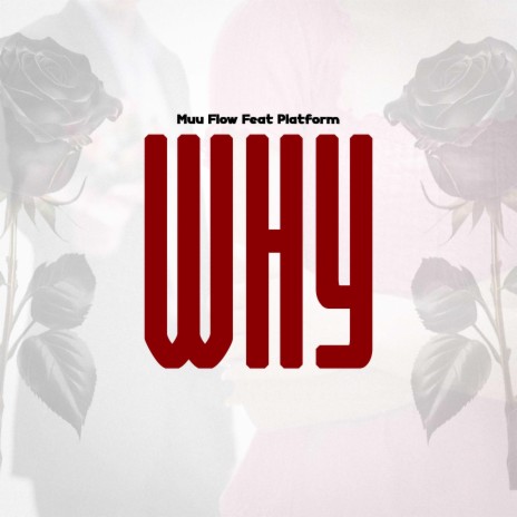 Why ft. Platform | Boomplay Music