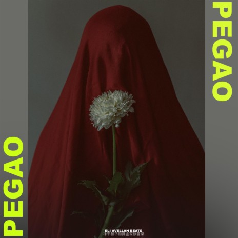 PEGAO (REGGAETON INSTRUMENTAL) | Boomplay Music