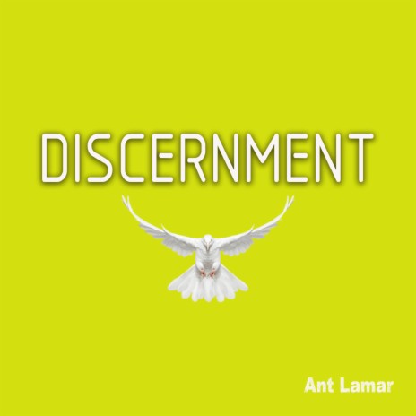 Discernment | Boomplay Music