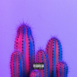 Cactus Collective