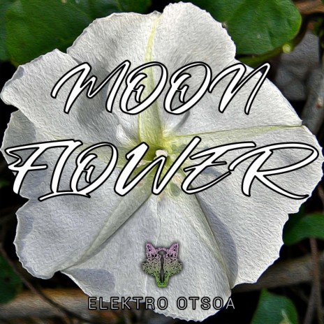 Moon Flower