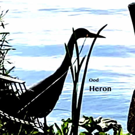 Heron | Boomplay Music