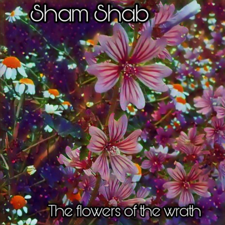 The flowers of the wrath | Boomplay Music