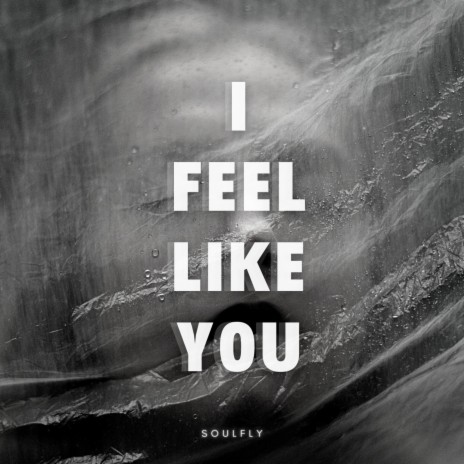 I Feel Like You | Boomplay Music
