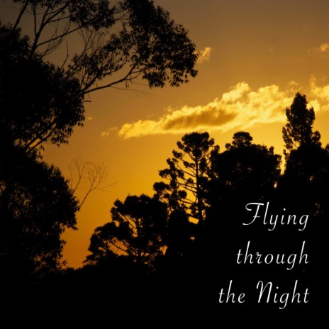 Flying through the Night | Boomplay Music