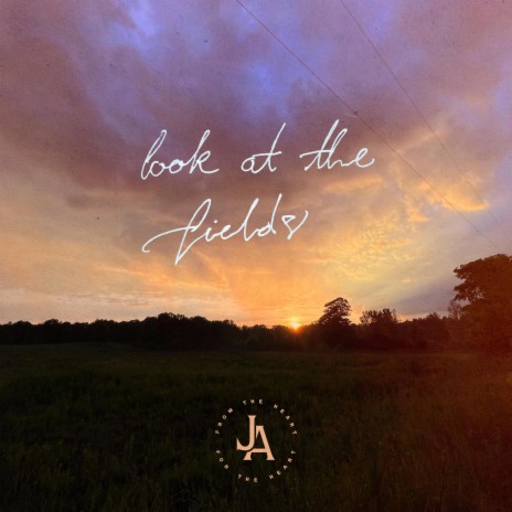 Look At The Fields | Boomplay Music