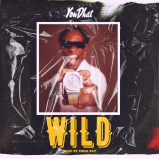 Wild lyrics | Boomplay Music