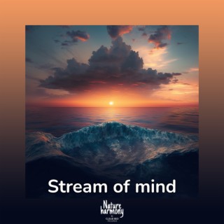 Stream of mind
