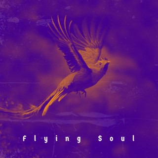 Flying Soul