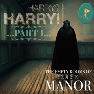 Episode 13 - Part 1  Harry?  Harry!