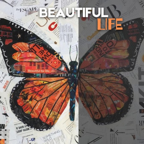 Beautiful Life | Boomplay Music