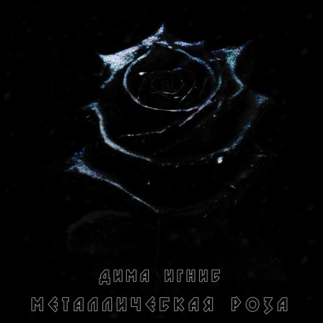 Металлическая роза | Boomplay Music