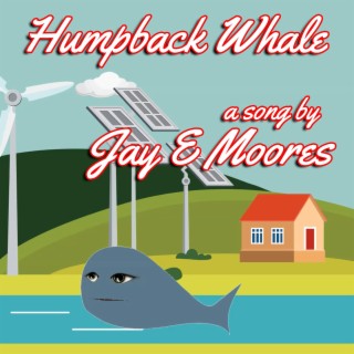 Humpback Whale