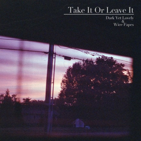 Take It Or Leave It (Cinematic Version) ft. wice fapes