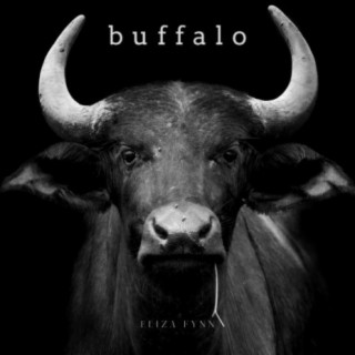 Buffalo