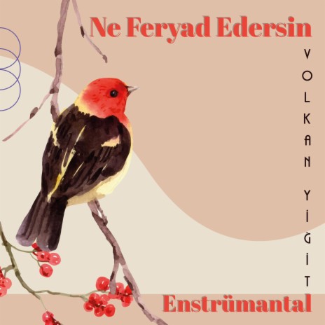 Ne Feryad Edersin - Enstrümantal | Boomplay Music