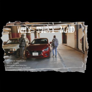 WHY THEY MAD ft. Lil V3nom lyrics | Boomplay Music